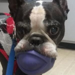 Meet your Posher, Maureen